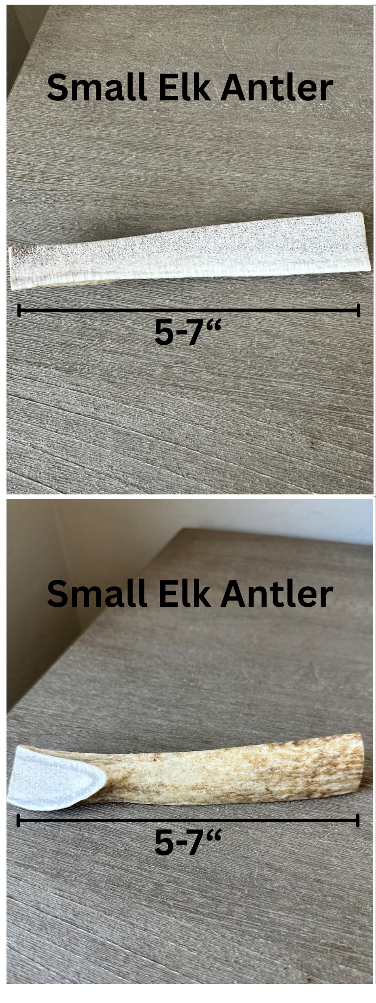 Elk Antler - Small