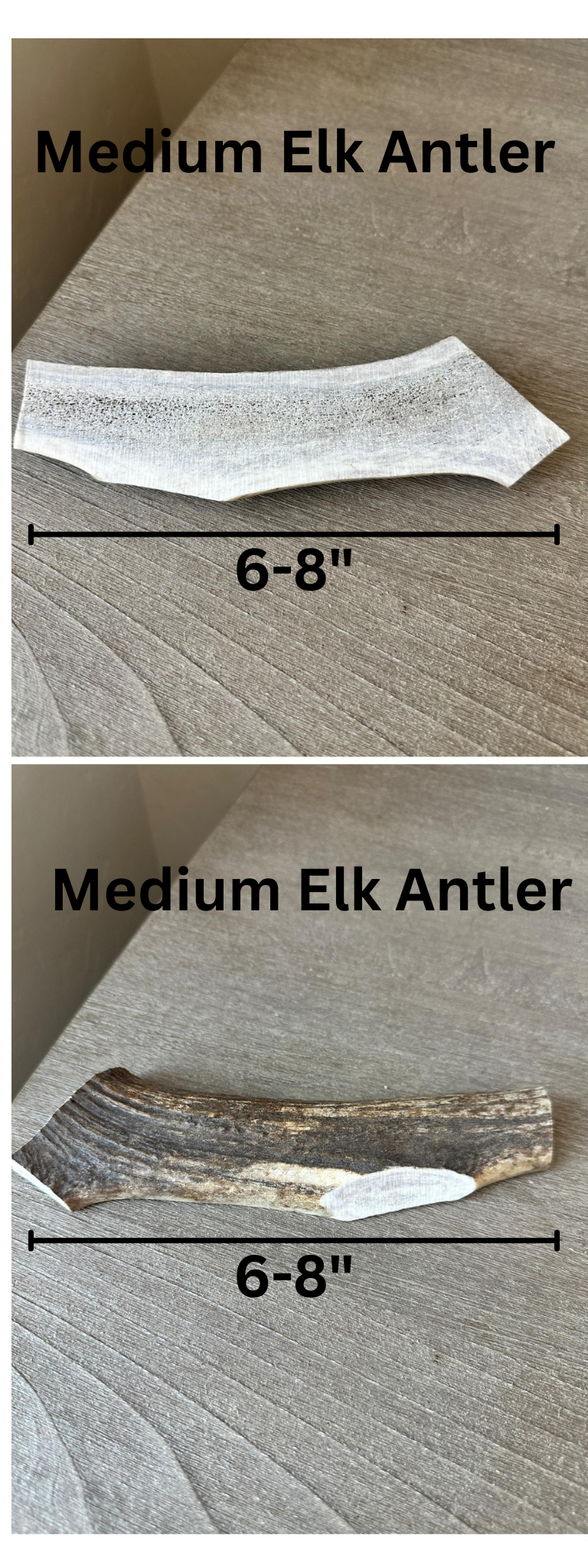 Elk Antler - Medium